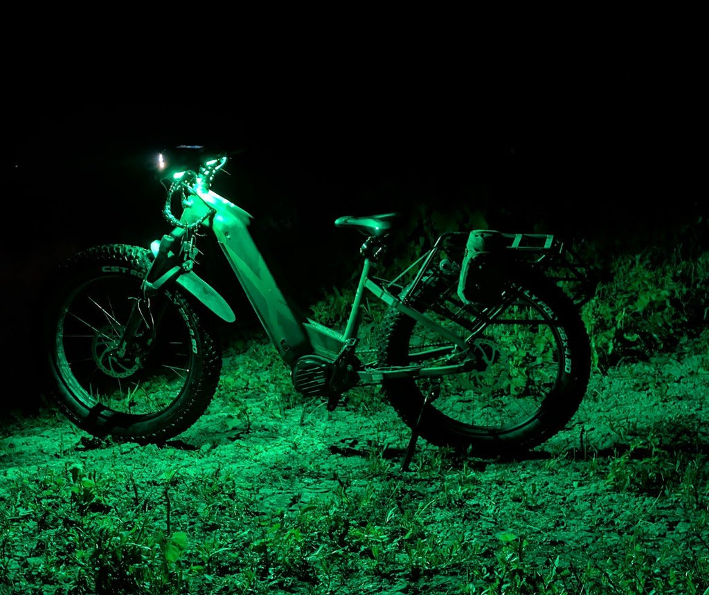 Rock / Accessory Lights